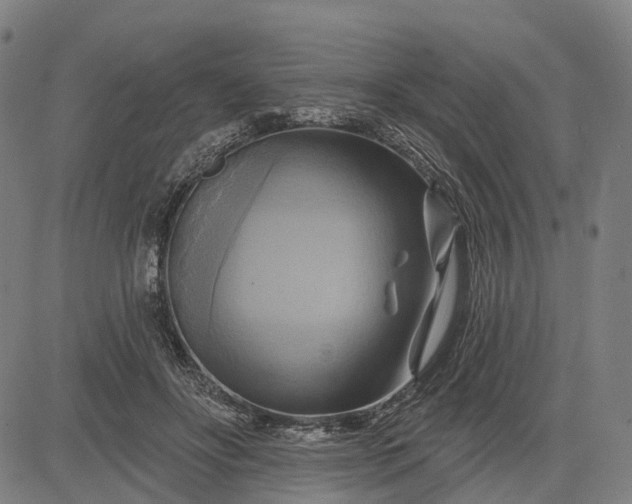 X0000083040502200702161710