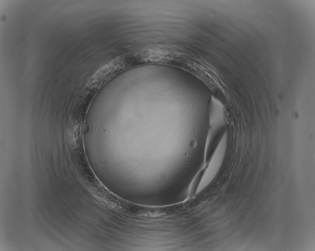 X0000083040503200702161710