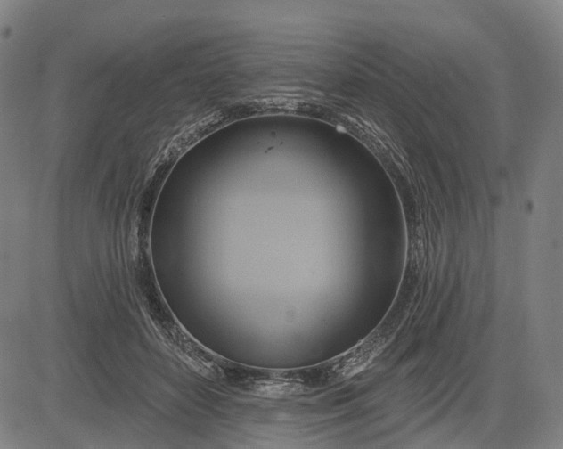 X0000083040504200702161710