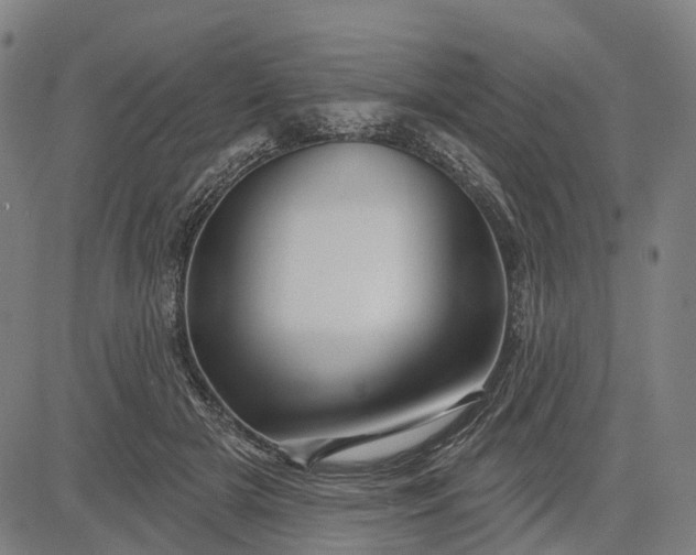 X0000083040505200702161710