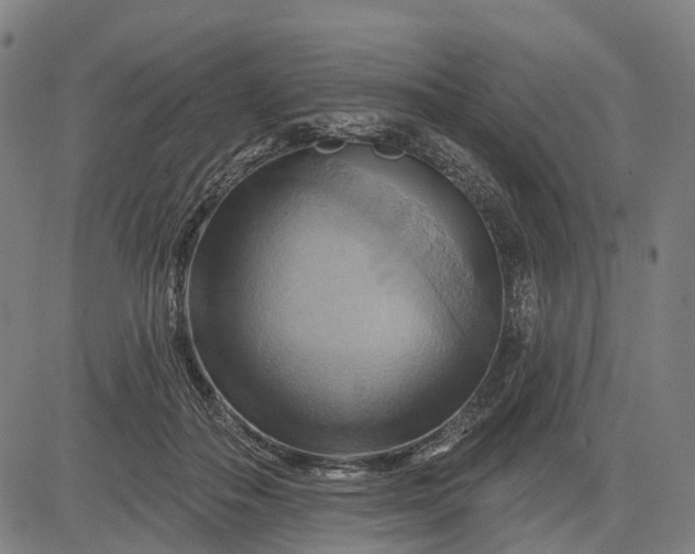 X0000083040506200702161710