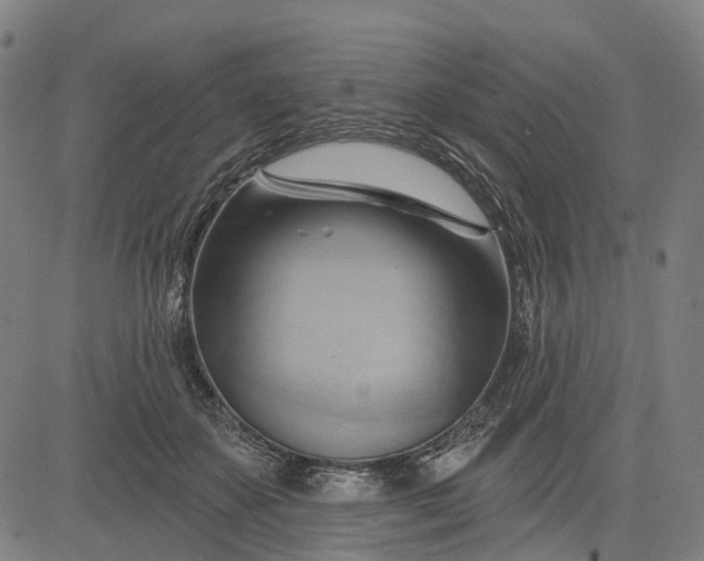 X0000083040507200702161710