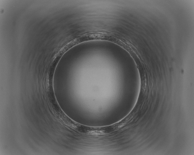 X0000083040508200702161710