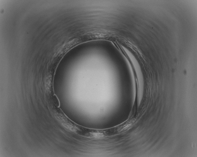 X0000083040509200702161710