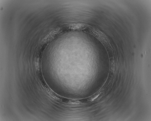 X0000083040510200702161710