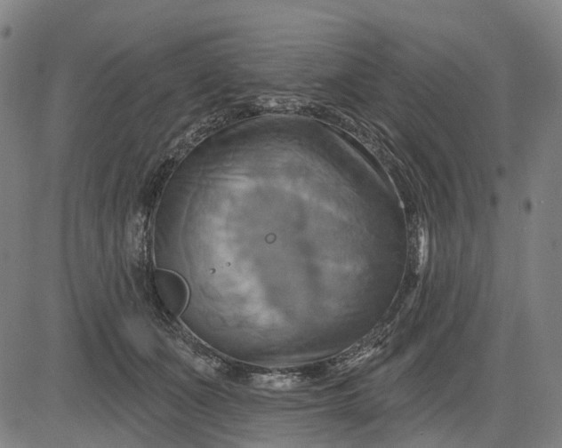 X0000083040511200702161710