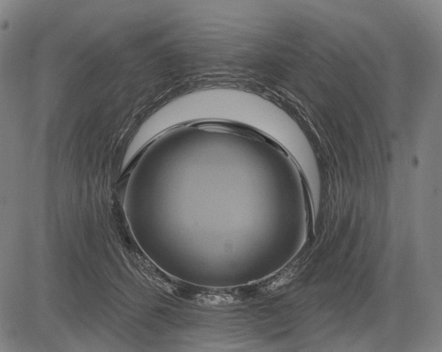 X0000083040512200702161710