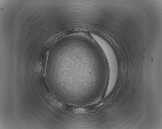 X0000083040513200702161710