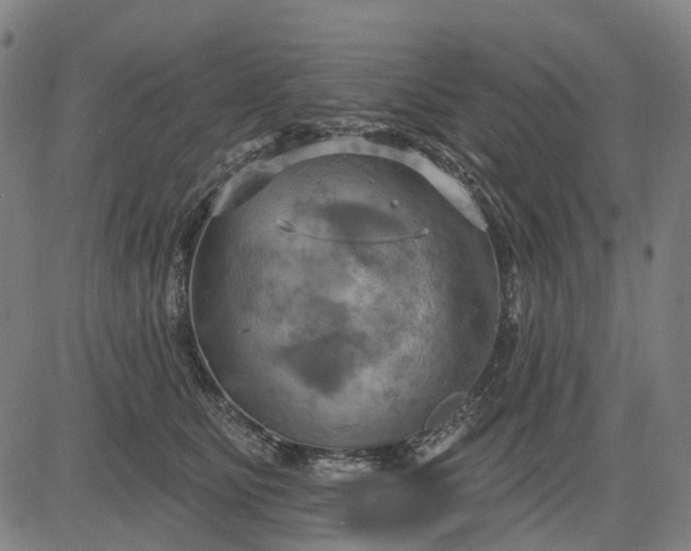 X0000083040515200702161710