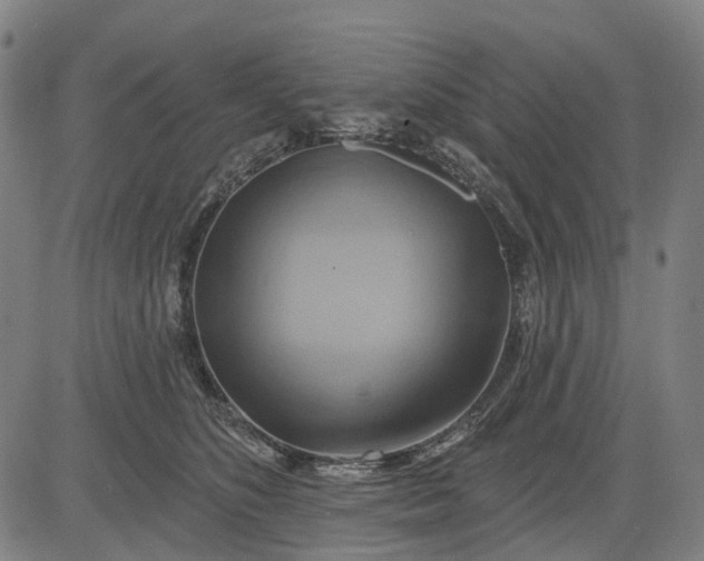 X0000083040516200702161710