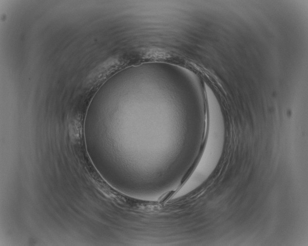 X0000083040517200702161710