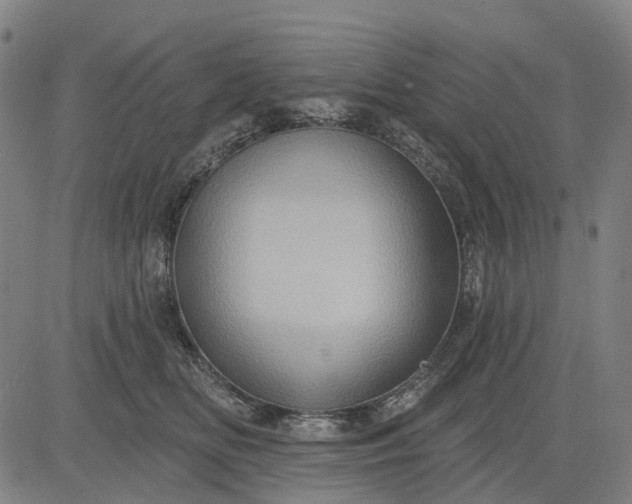 X0000083040518200702161710