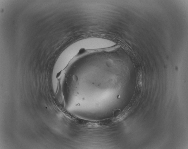 X0000083040519200702161710