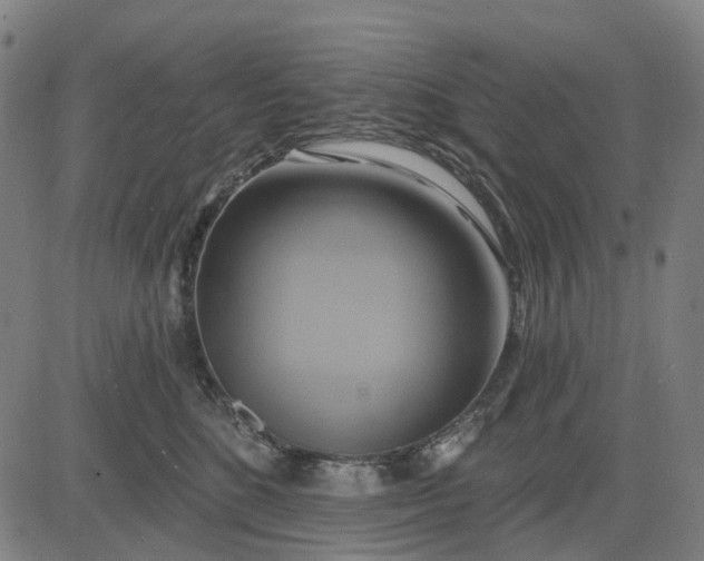 X0000083040520200702161710