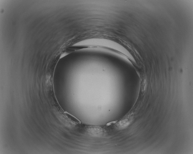 X0000083040521200702161709