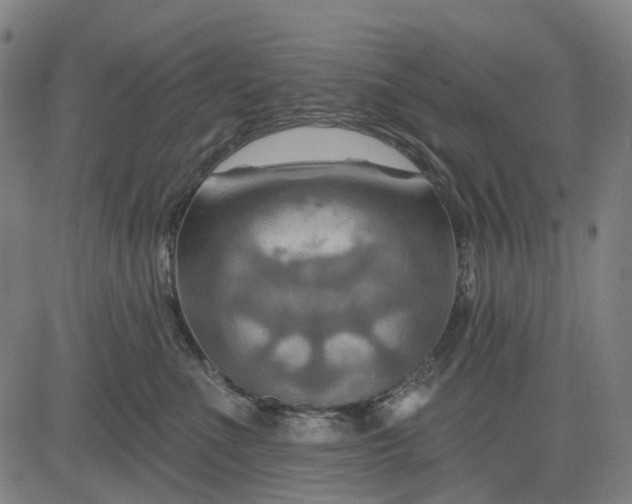 X0000083040523200702161709