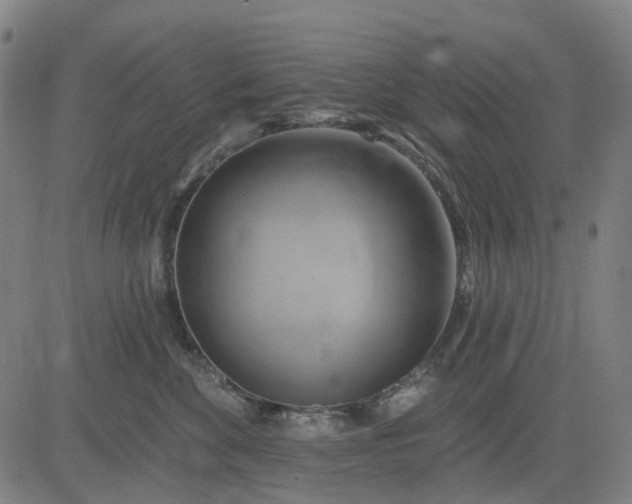 X0000083040524200702161709