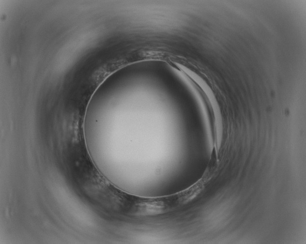 X0000083040525200702161709