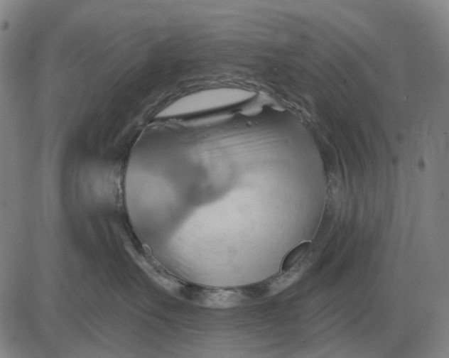 X0000083040527200702161709