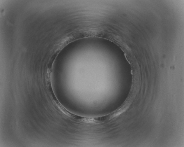 X0000083040528200702161709