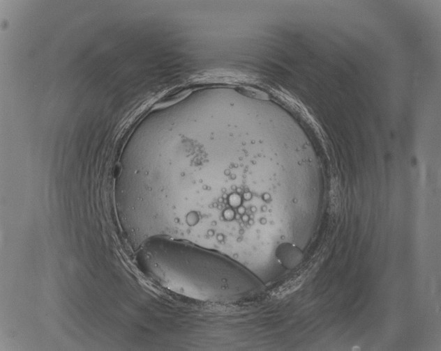 X0000083040529200702161709