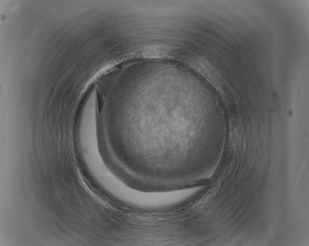 X0000083040530200702161709