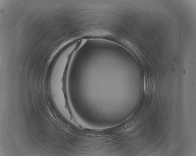 X0000083040531200702161709