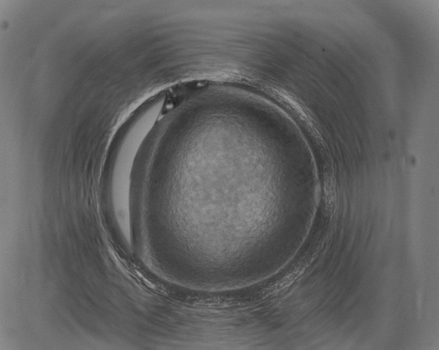 X0000083040532200702161709