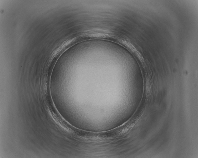 X0000083040533200702161709