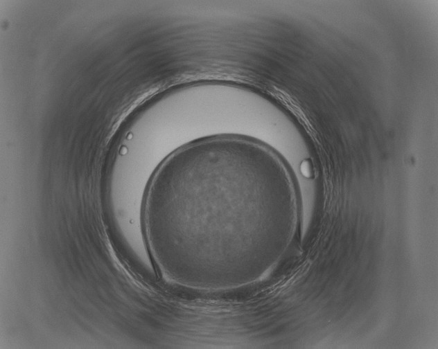 X0000083040534200702161709