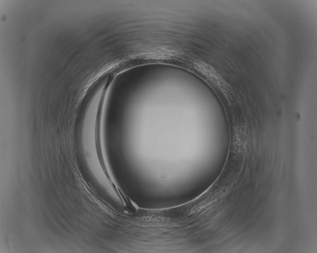 X0000083040535200702161709