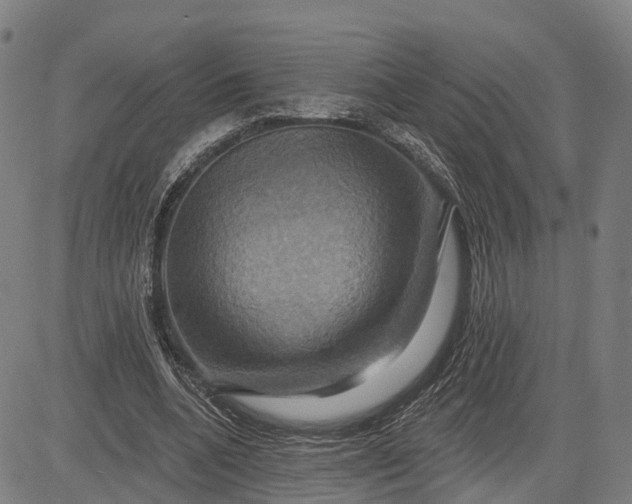 X0000083040536200702161709