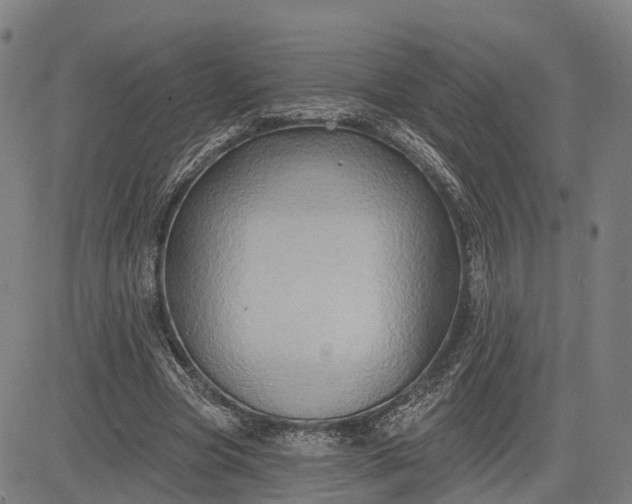 X0000083040537200702161709