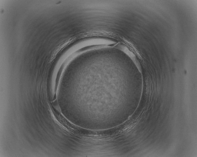 X0000083040538200702161709