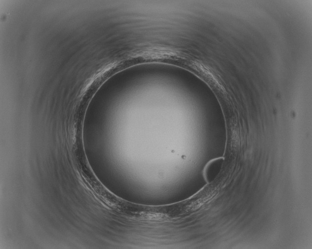 X0000083040539200702161709