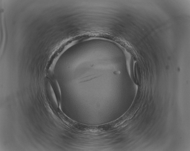 X0000083040540200702161709