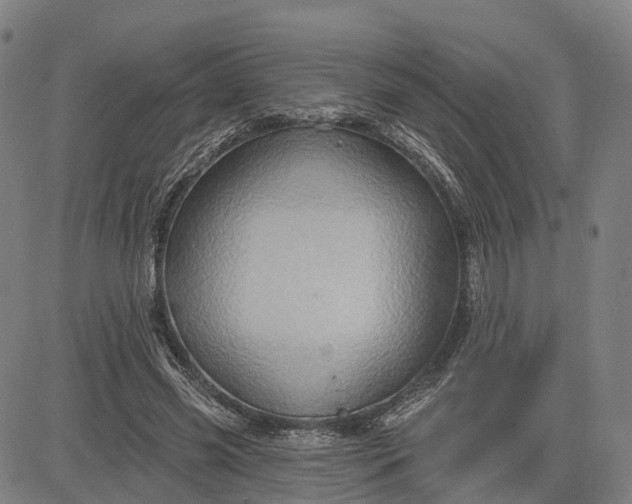 X0000083040541200702161709