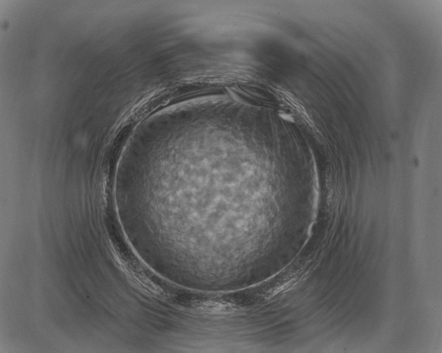 X0000083040542200702161709