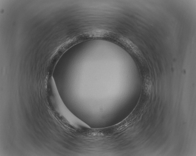 X0000083040543200702161709