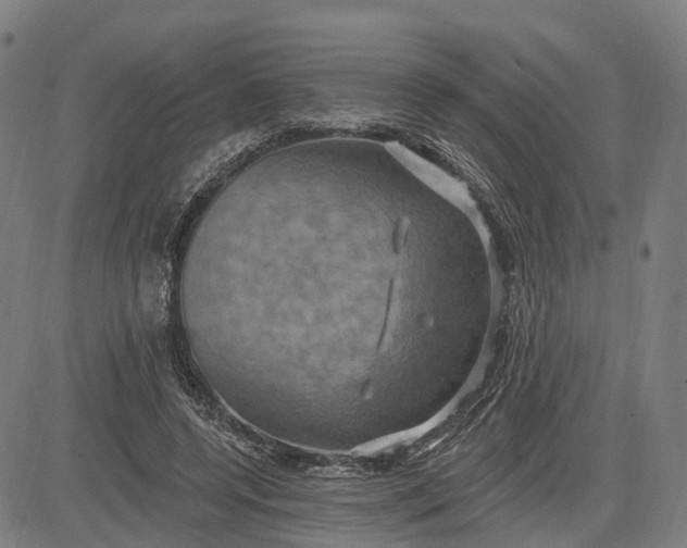 X0000083040544200702161709