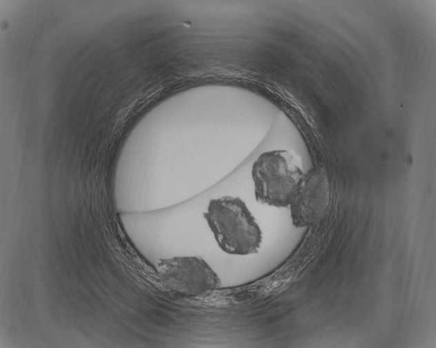 X0000083040545200702161709