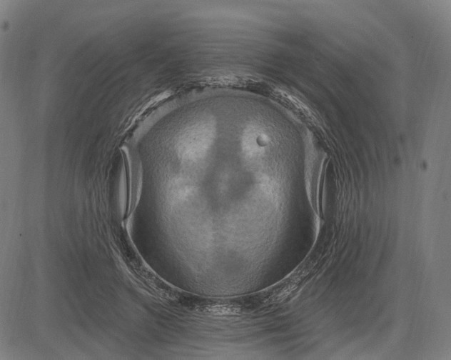 X0000083040546200702161709