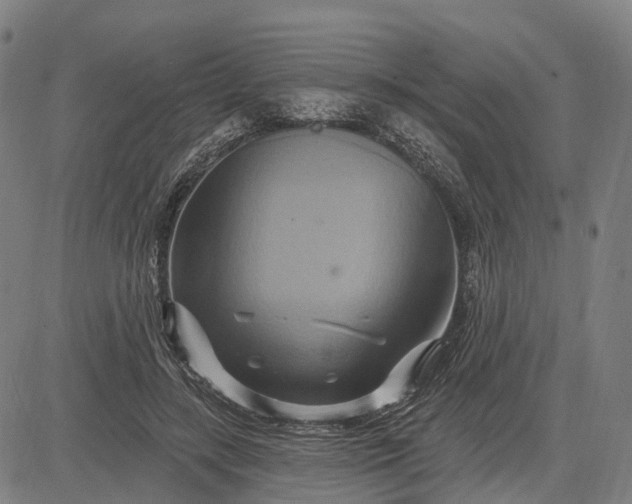 X0000083040547200702161709