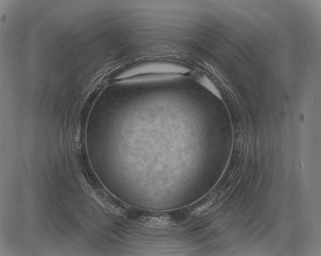 X0000083040548200702161709