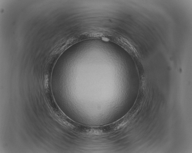 X0000083040549200702161709