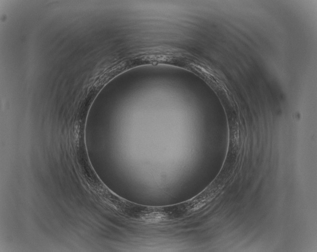 X0000083040551200702161709