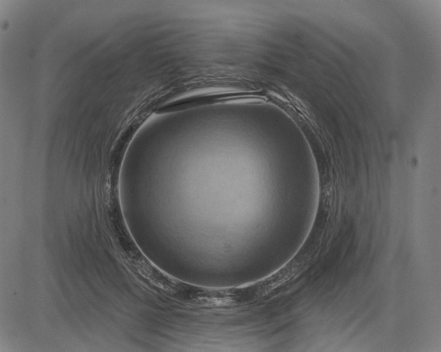 X0000083040552200702161709