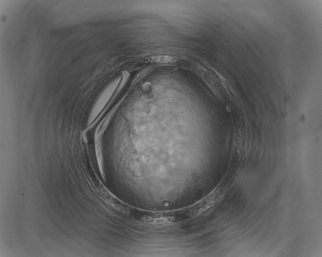 X0000083040553200702161709