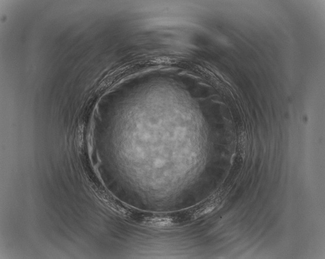 X0000083040554200702161709