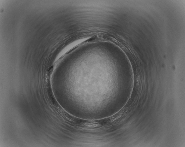 X0000083040555200702161709